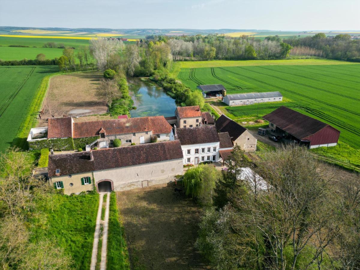 Le Moulin Neuf Villa Brienon-sur-Armançon Eksteriør billede