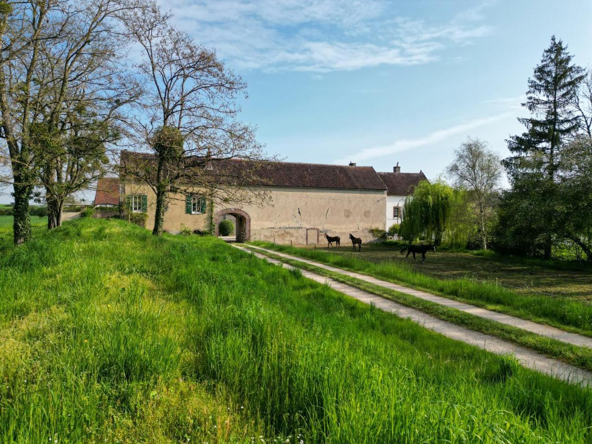 Le Moulin Neuf Villa Brienon-sur-Armançon Eksteriør billede