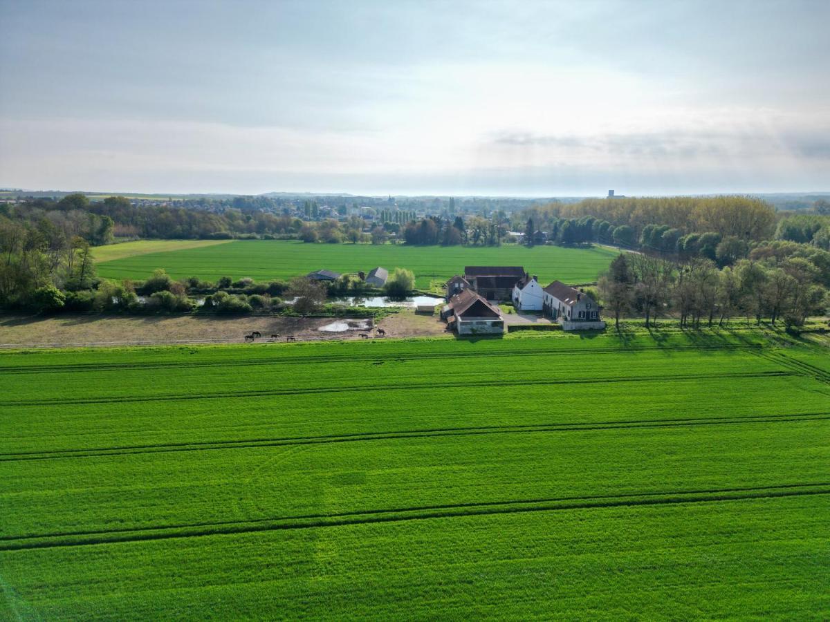 Le Moulin Neuf Villa Brienon-sur-Armançon Eksteriør billede