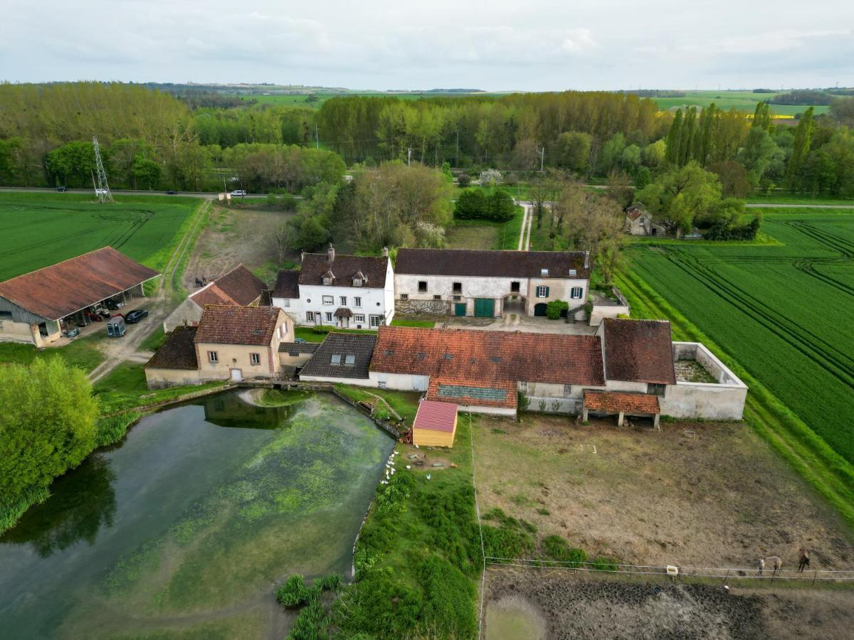 Le Moulin Neuf Villa Brienon-sur-Armançon Eksteriør billede