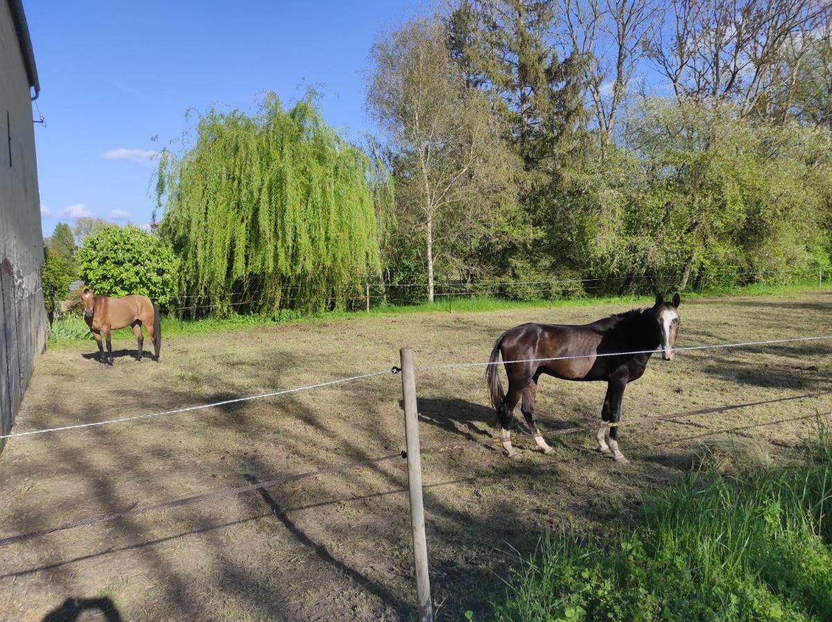 Le Moulin Neuf Villa Brienon-sur-Armançon Eksteriør billede