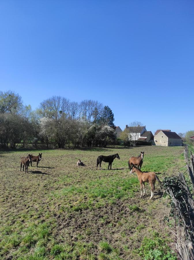 Le Moulin Neuf Villa Brienon-sur-Armançon Eksteriør billede