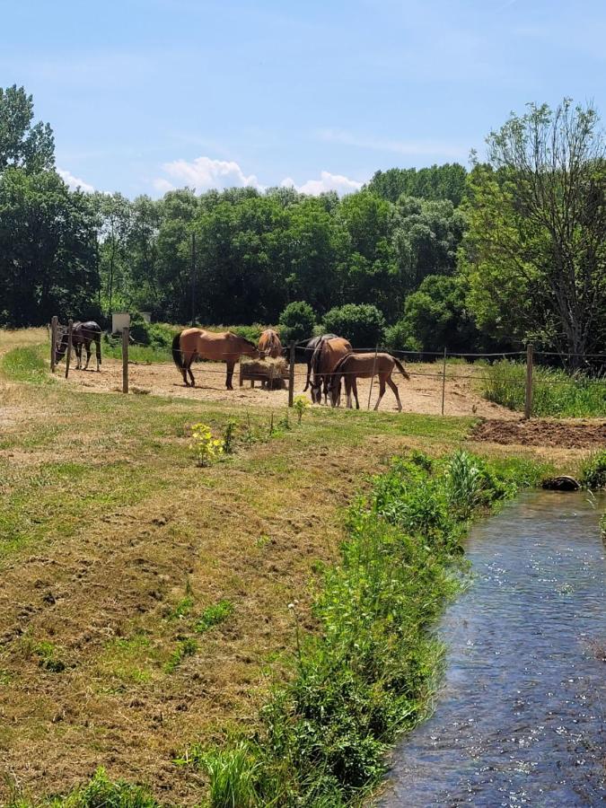 Le Moulin Neuf Villa Brienon-sur-Armançon Eksteriør billede